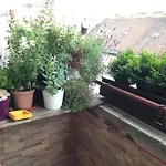 Appartement Lonyay Street *